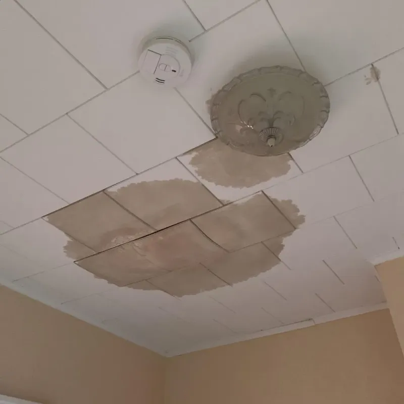 Ceiling Water Damage Repair in Niles, OH