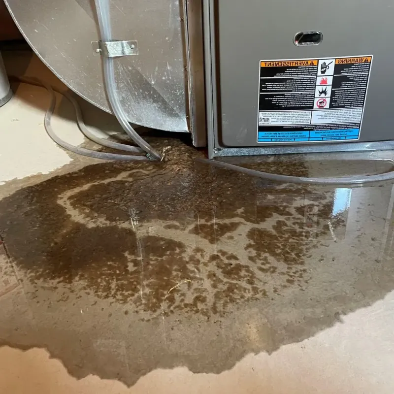 Pipe Burst and Leak Restoration in Niles, OH
